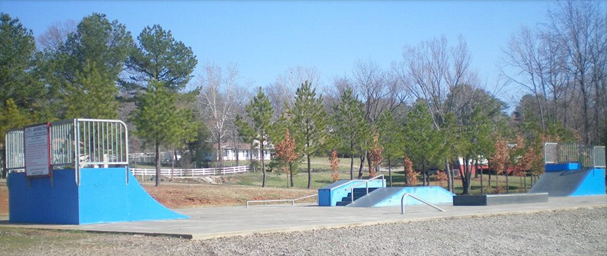 Blue skate ramps at a park.